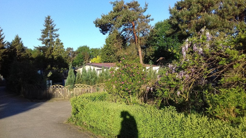 Prachtig vrijstaand houten chalet met ruime bostuin, In bos, Huisdier toegestaan, 2 slaapkamers, Recreatiepark