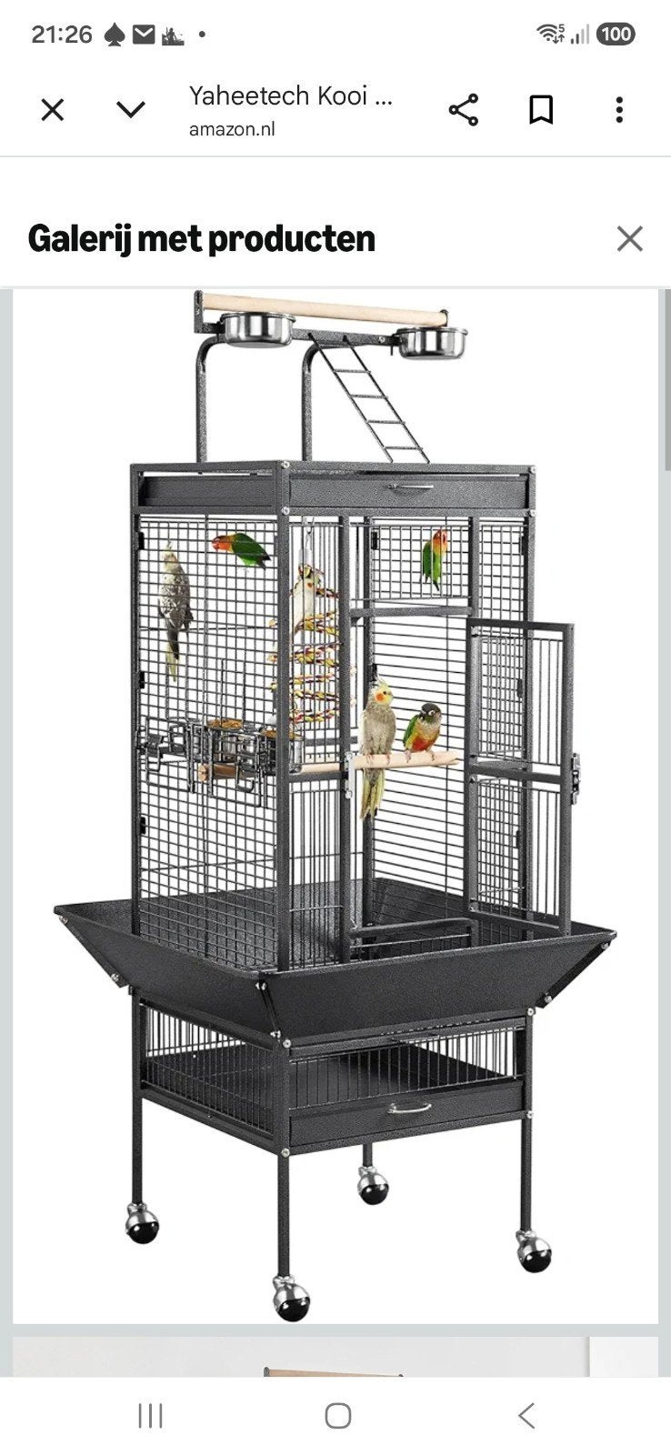Papagaaien kooi te koop, Dieren en Toebehoren, Vogels | Hokken en Kooien, Ophalen, Zo goed als nieuw, Metaal, Vogelkooi