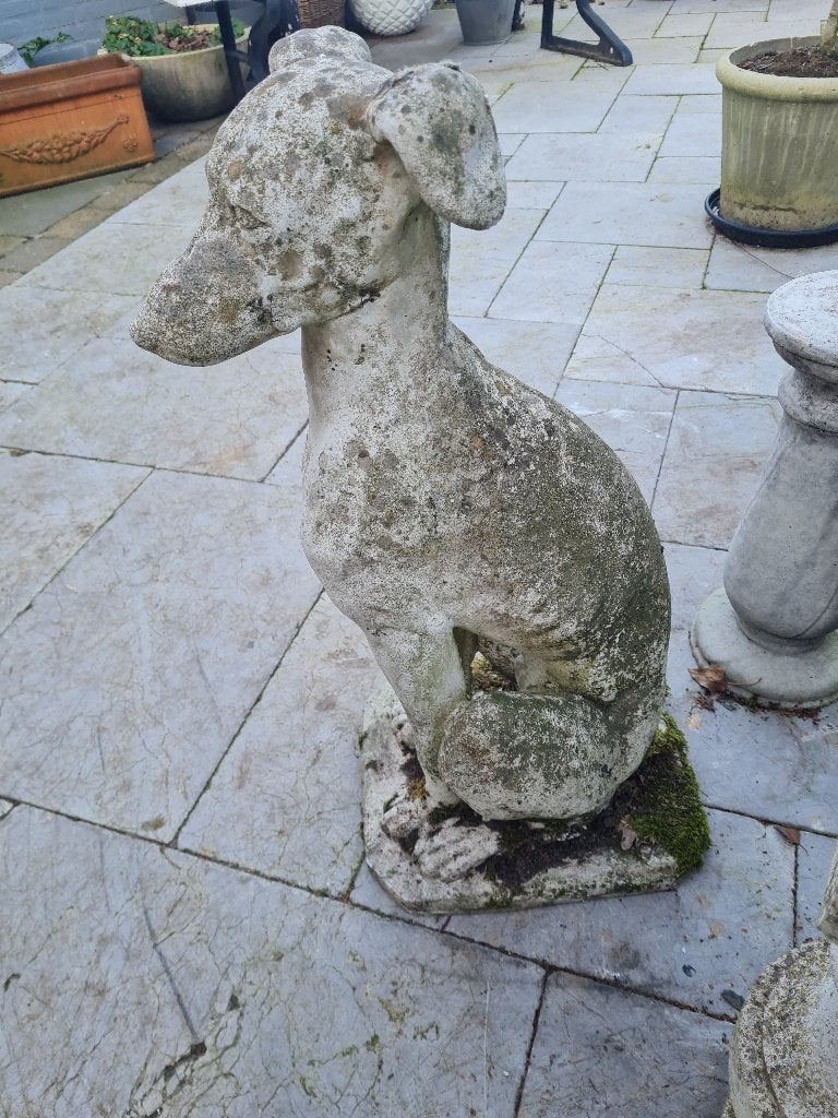 Betonnen tuinbeeld jachthond foto 1 t/m 10, Ophalen, Gebruikt, Belle Vieille Brocante, Jolandamonsieurs@gmail.com
