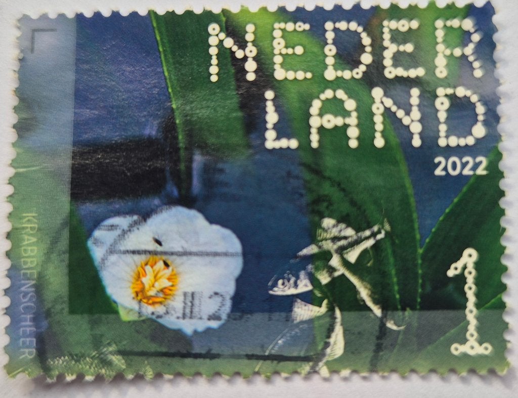 Postzegel Nederland 2022, Ophalen of Verzenden, Na 1940, Gestempeld