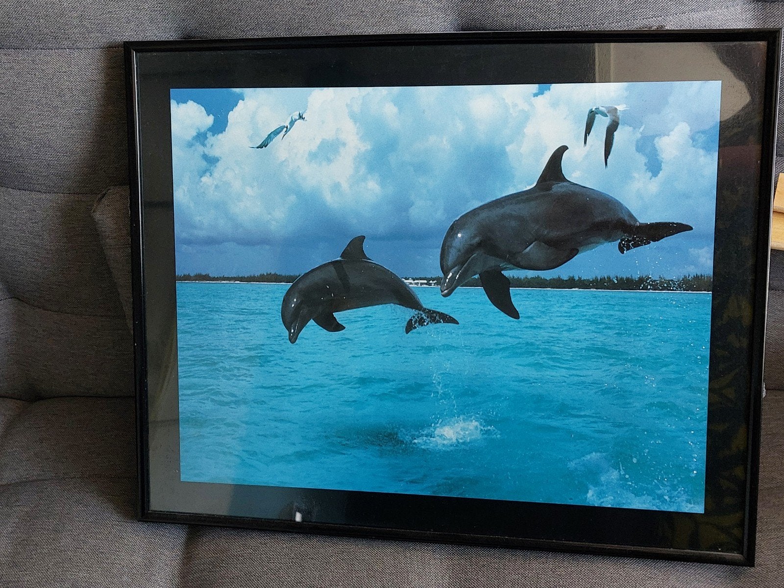 Poster 40x50 cm met dolfijnen in kunststof lijst met glas, Ophalen, Kunststof, Gebruikt, Posterlijst