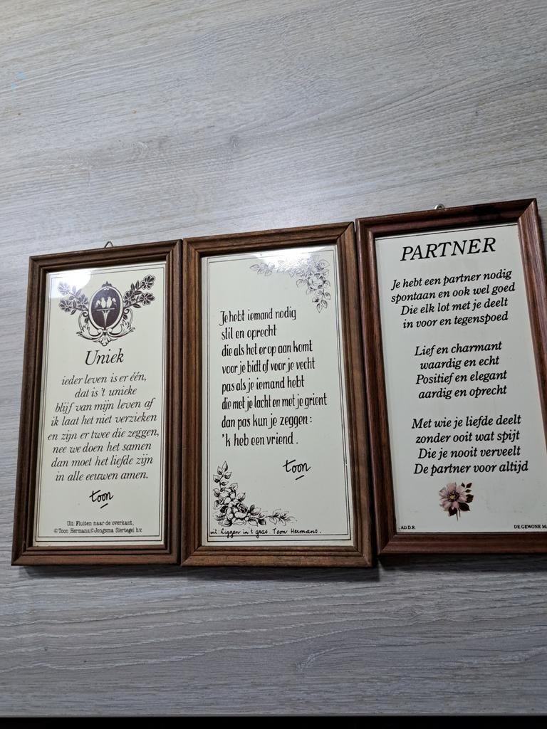 Set van 3 ingelijste spreuken: Uniek, Vriend, Partner, Ophalen of Verzenden, Gebruikt, Minder dan 50 cm, Print