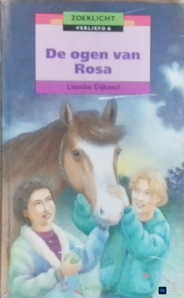 De Ogen Van Rosa, Gelezen, Ophalen of Verzenden, Lieneke Dijkzeul., Fictie