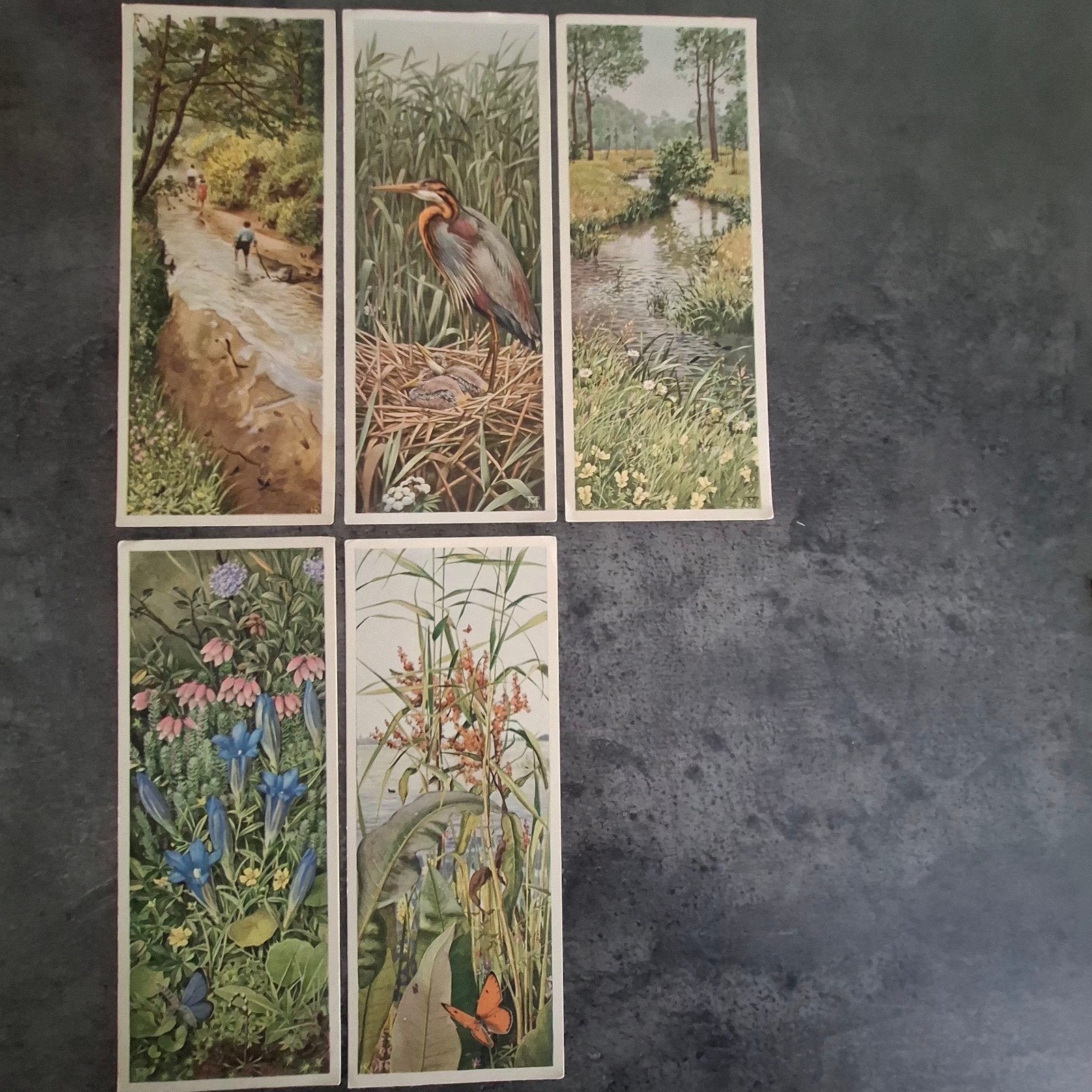 17 nostalgische Verkade afbeeldingen voor je album, Ophalen of Verzenden, 1920 tot 1940, Nederland, Knipsel(s)