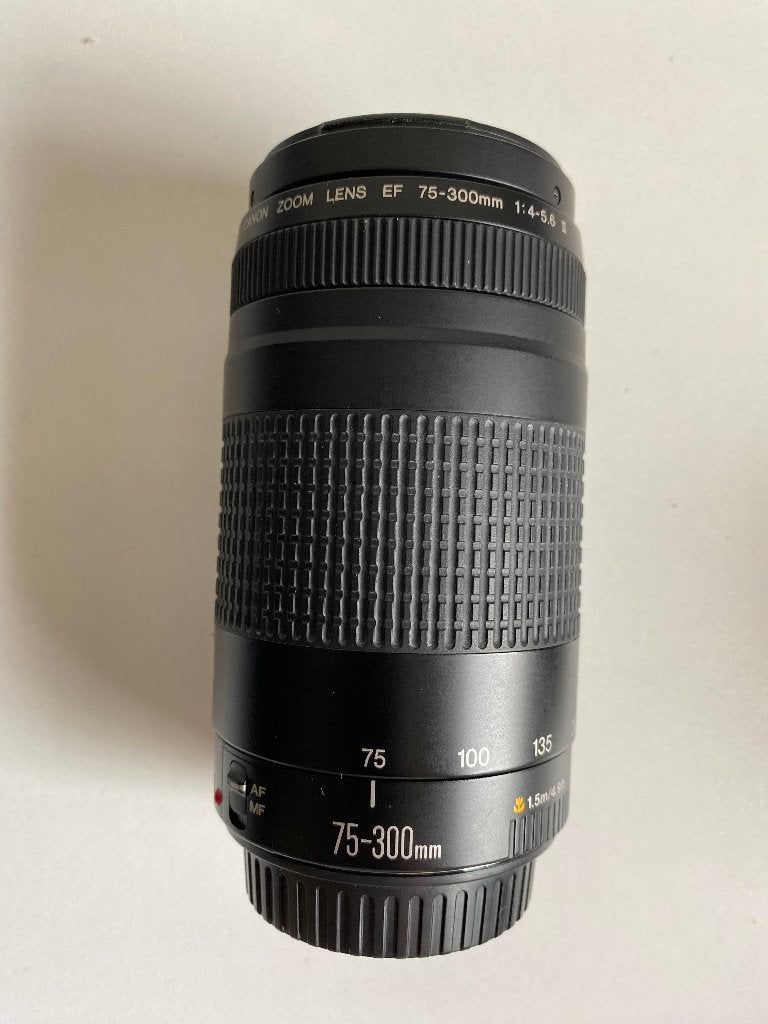Canon Zoom Lens EF 75-300mm 1:4-5.6 III met UV filter, Ophalen, Gebruikt, Canon, Telelens