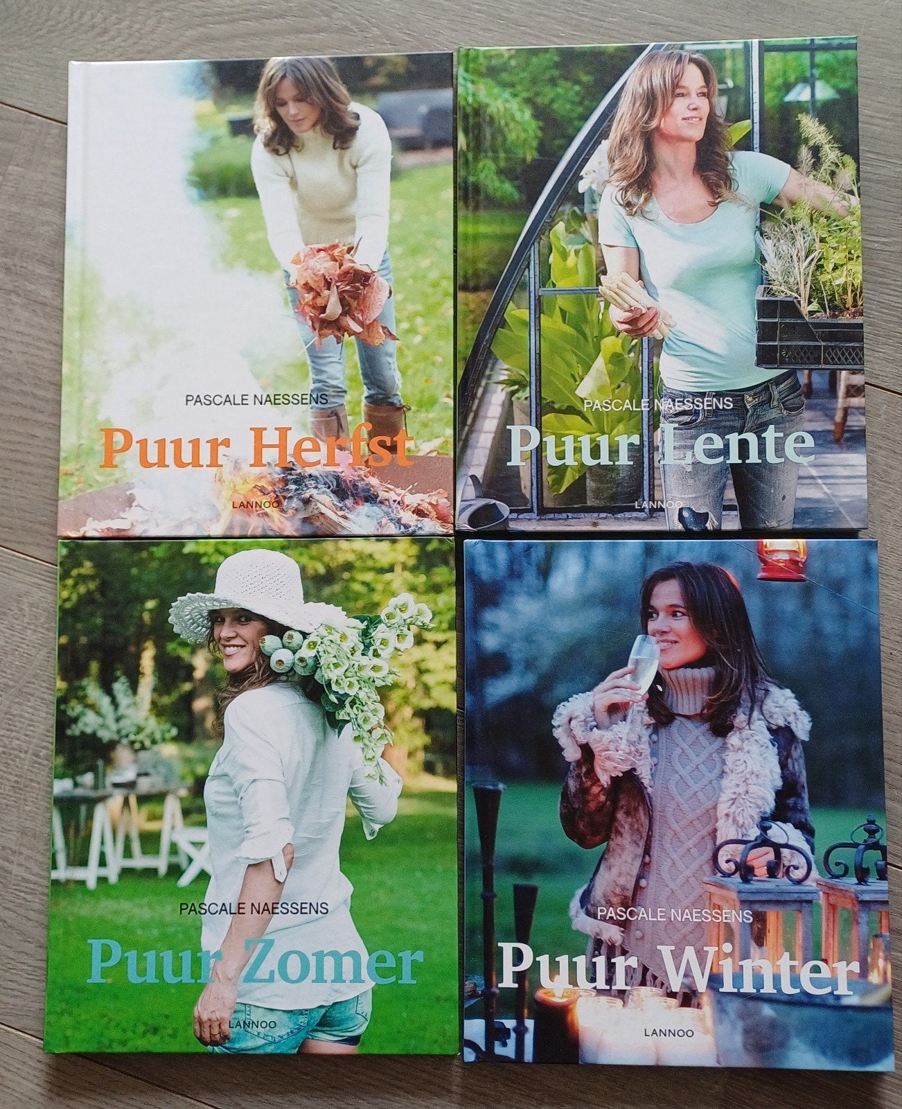 Pascale Naessens - De 4 Seizoenen., Boeken, Ophalen of Verzenden, Zo goed als nieuw, Nederland en België