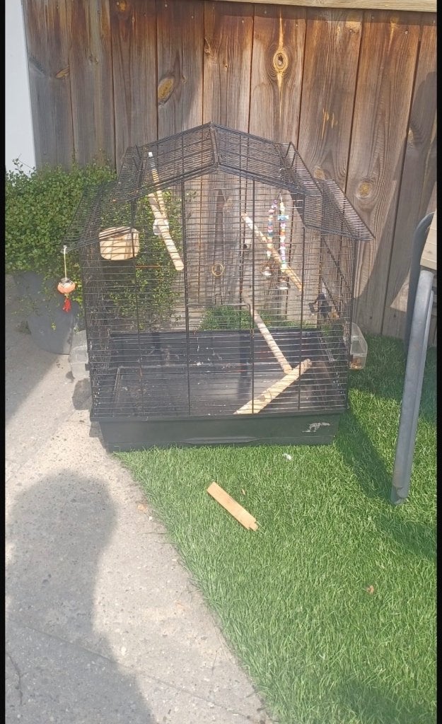 Vogel kooi, Ophalen, Metaal, Vogelkooi
