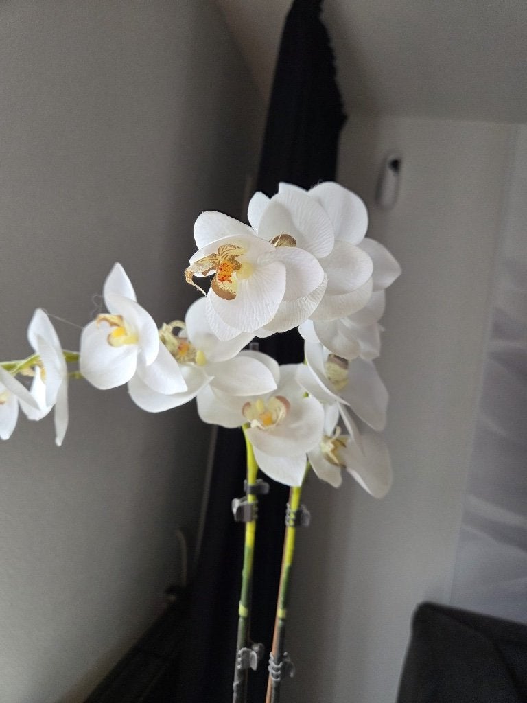 Kunstplant Orchidee in Pot, Ophalen, Zo goed als nieuw