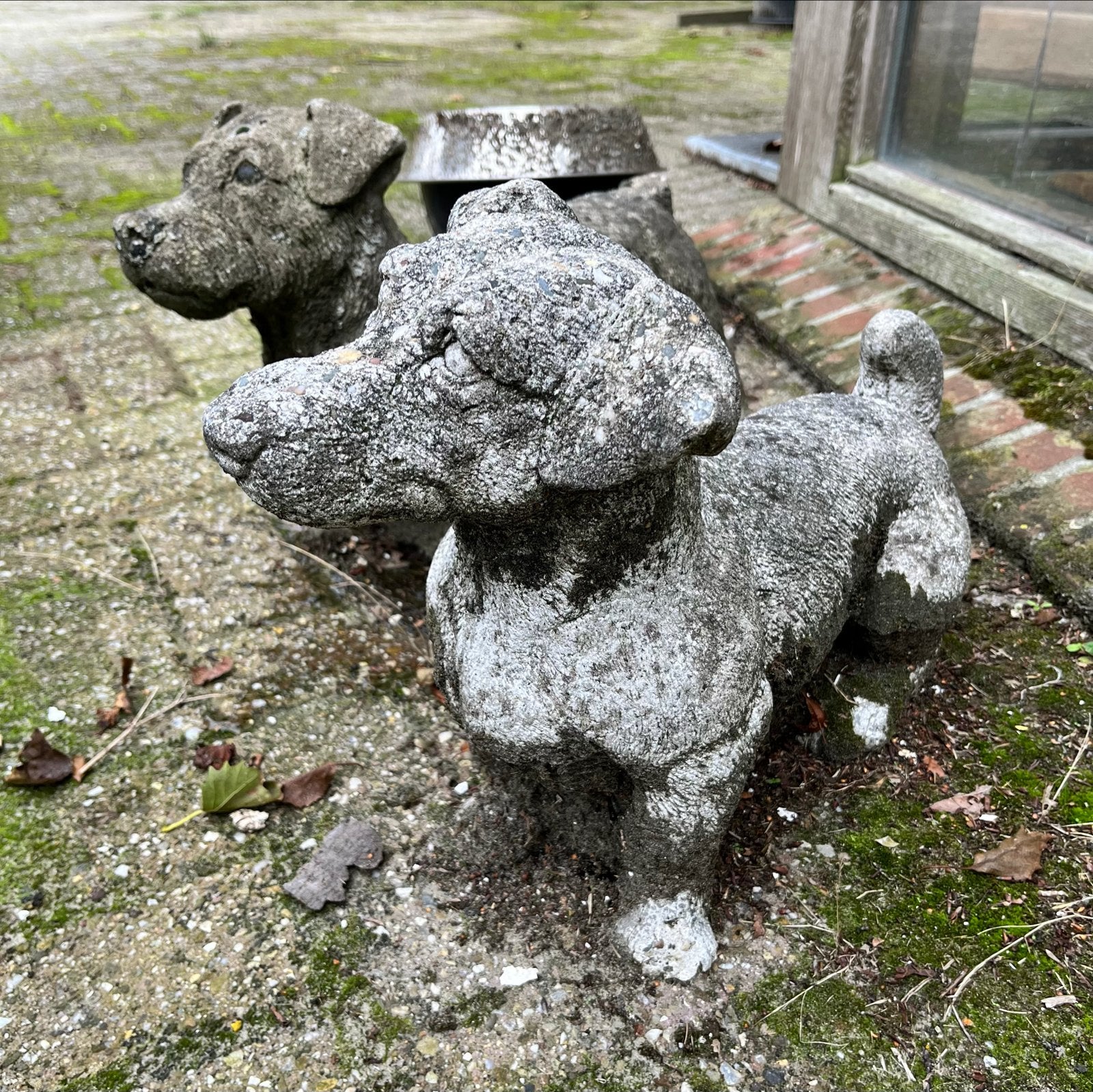Set van 2 betonnen Jack Russell beelden voor de tuin, Ophalen, Gebruikt, Beton, Dierenbeeld