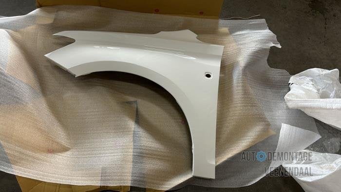 Scherm links-voor van een Volkswagen Caddy (LB9A), -, Volkswagen, -, Nieuw
