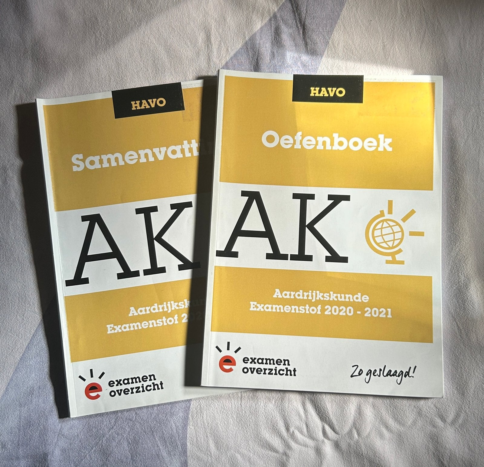 Havo Aardrijkskunde Examenoverzicht, Verzenden, Zo goed als nieuw, HAVO, Aardrijkskunde