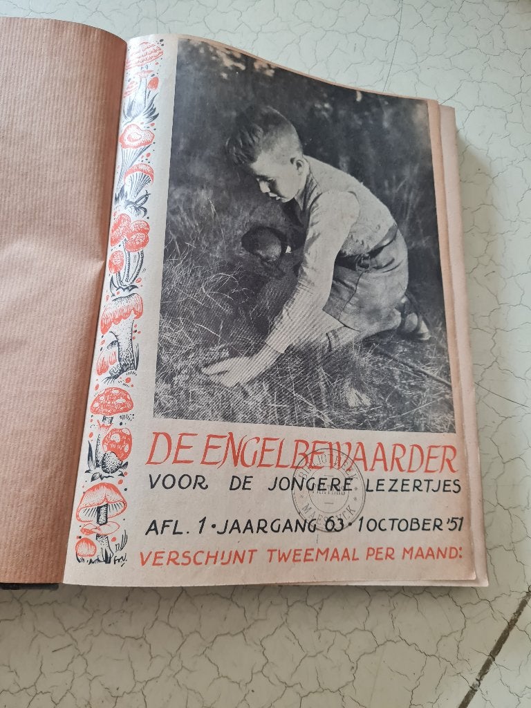 3 boeken engelbewaarder voor jonge lezers p/st 10 euro, Ophalen of Verzenden, Gelezen