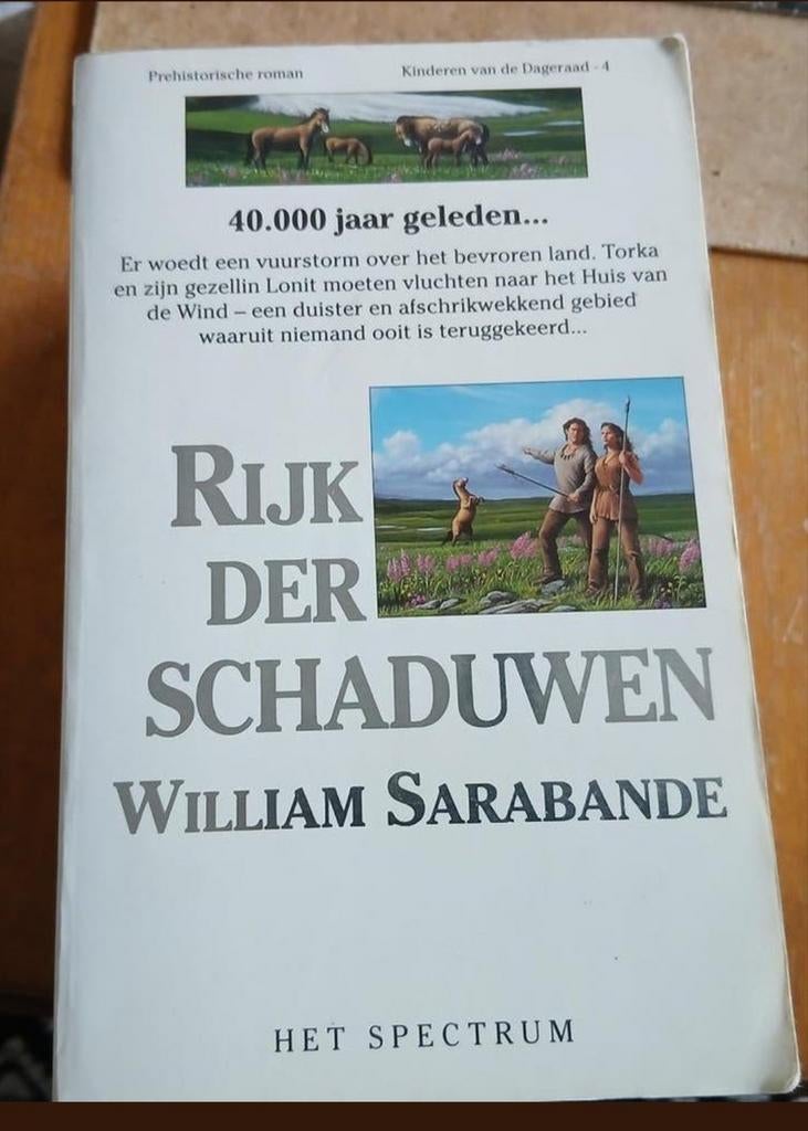 Rijk der Schaduwen - William Sarabande, Boeken, Ophalen of Verzenden, Gelezen, William Sarabande, Nederland