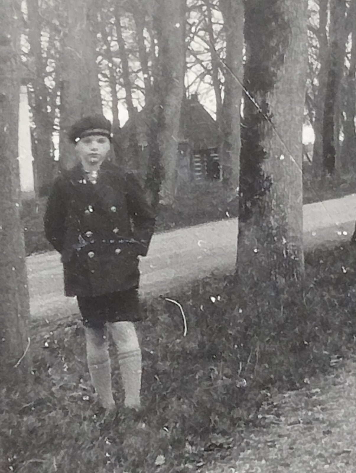 Laan met bomen en jong persoon jaren 20-40, Verzamelen, Ophalen of Verzenden, Voor 1940, Gebruikt