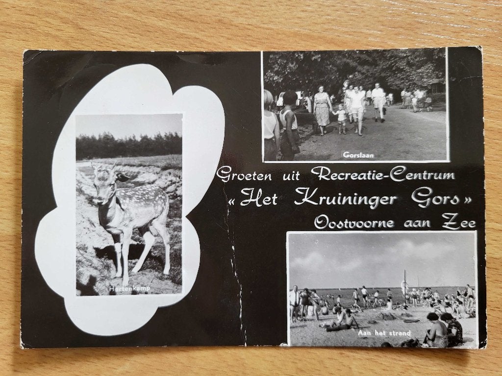 ansicht Oostvoorne Meerluik Kruiniger Gors, Ophalen of Verzenden, Voor 1920, Zeeland