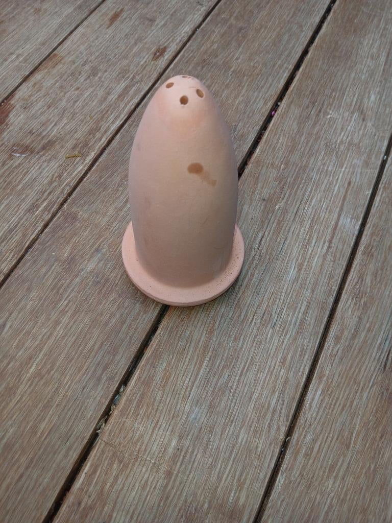Afzetkegel discus vissen, Dieren en Toebehoren, Ophalen