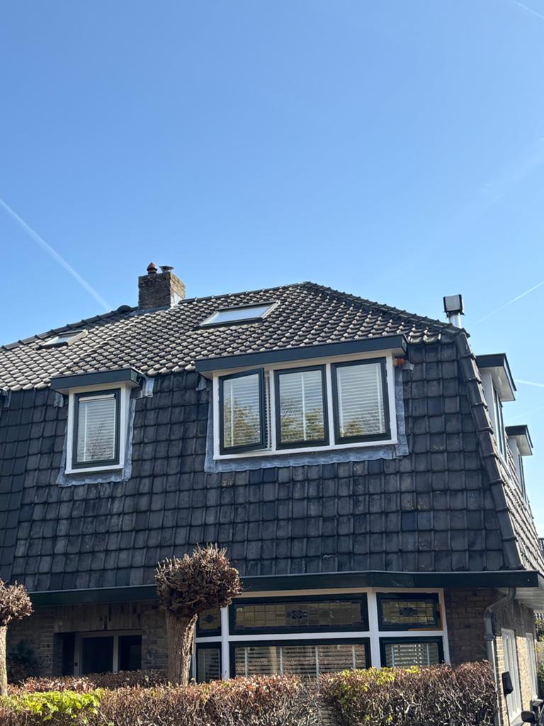 203 m² Blauw gesmoorde dakpannen (jaren '20, kleiner TDN44), Gebruikt, Steen of Klei, Blauw, Ophalen of Verzenden
