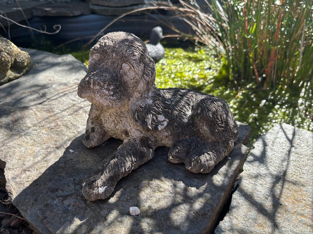 Tuinbeeld hond, Tuin en Terras, Ophalen, Gebruikt, Steen, Dierenbeeld