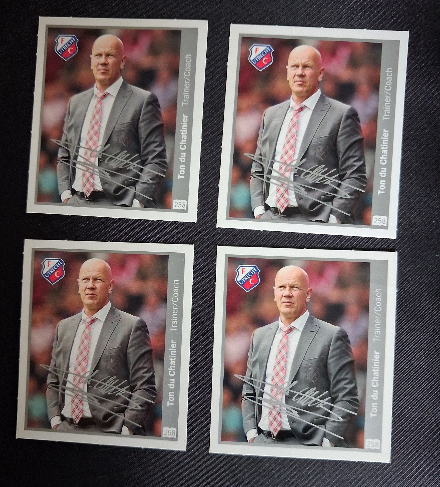 Ton du Chatinier stickers, Ophalen of Verzenden, Zo goed als nieuw