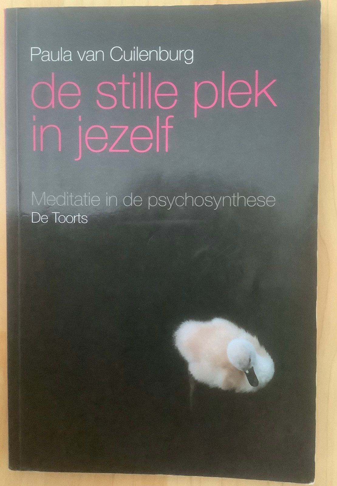 De stille plek in jezelf, Paula van Cuilenburg, Ophalen of Verzenden, Gelezen