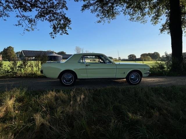 Ford USA Mustang Coupe 289cui V8 Automaat 1965, foto 4