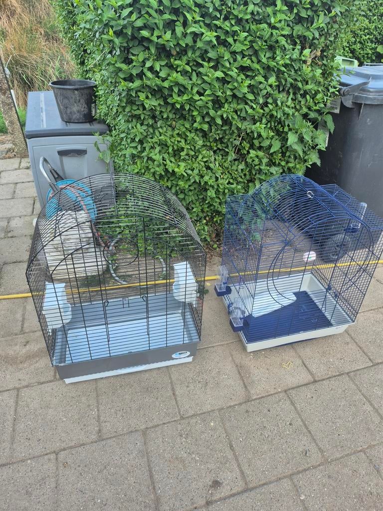 Vogelkooi, Dieren en Toebehoren, Vogels | Hokken en Kooien, Ophalen, Metaal, Vogelkooi