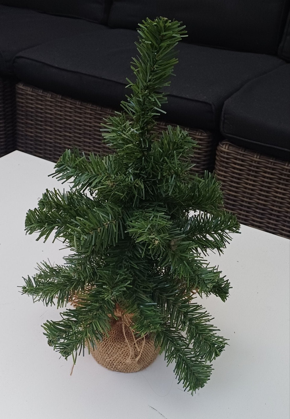 3 Mini kerstboompjes voor 5,-, Ophalen, Gebruikt