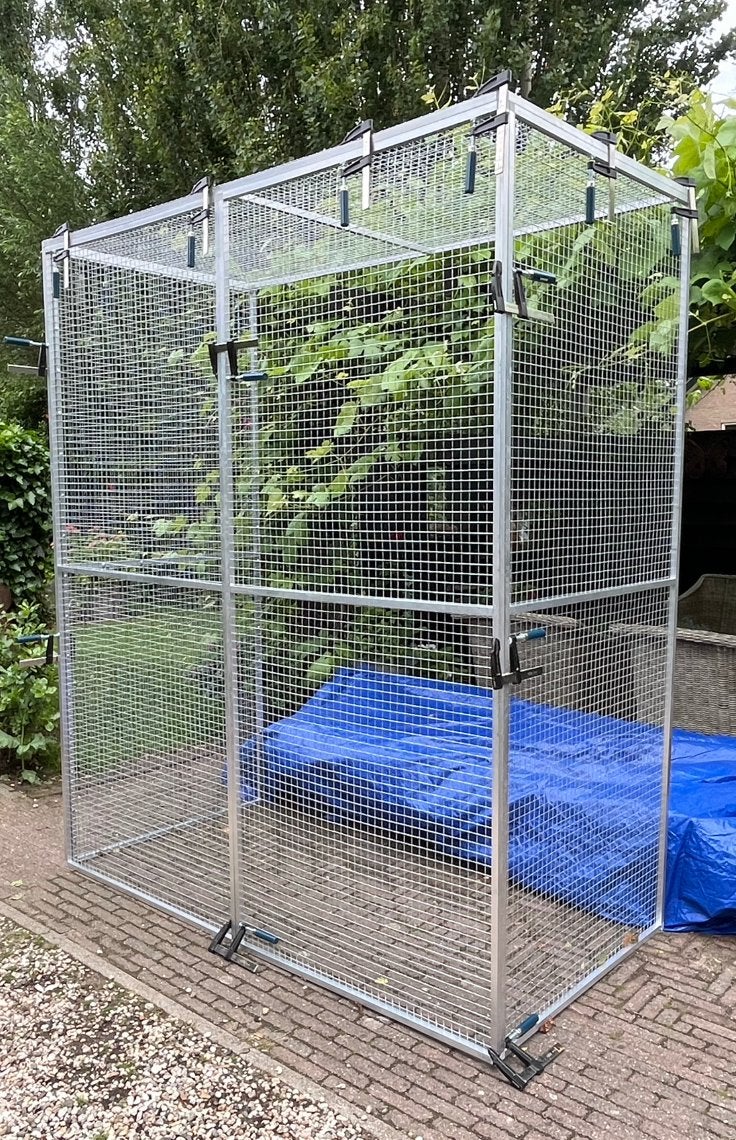 Aluminium kattenrennen en volieres op maat ook in RAL-kleur!, Dieren en Toebehoren, Vogels | Hokken en Kooien, 4221LV, Info@vandoorntimmerwerken.com