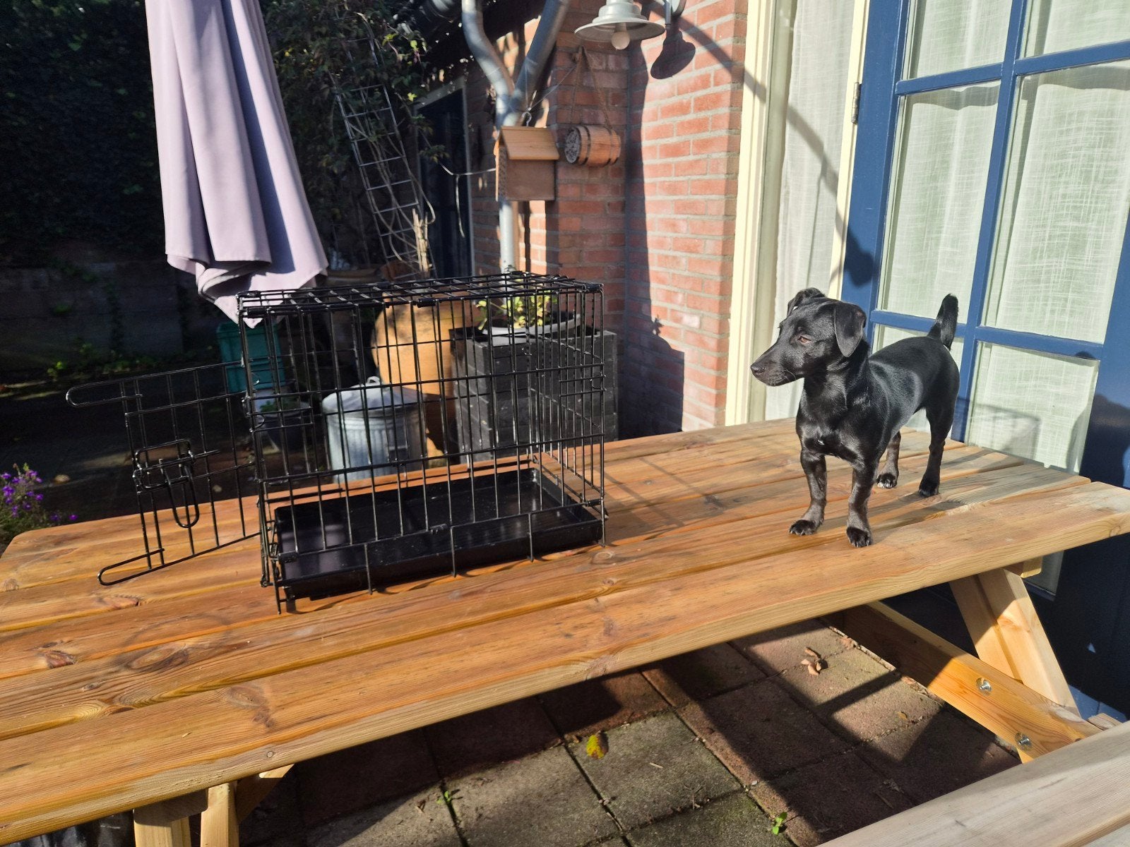 honden bench kleine hond, Dieren en Toebehoren, Ophalen, Zo goed als nieuw
