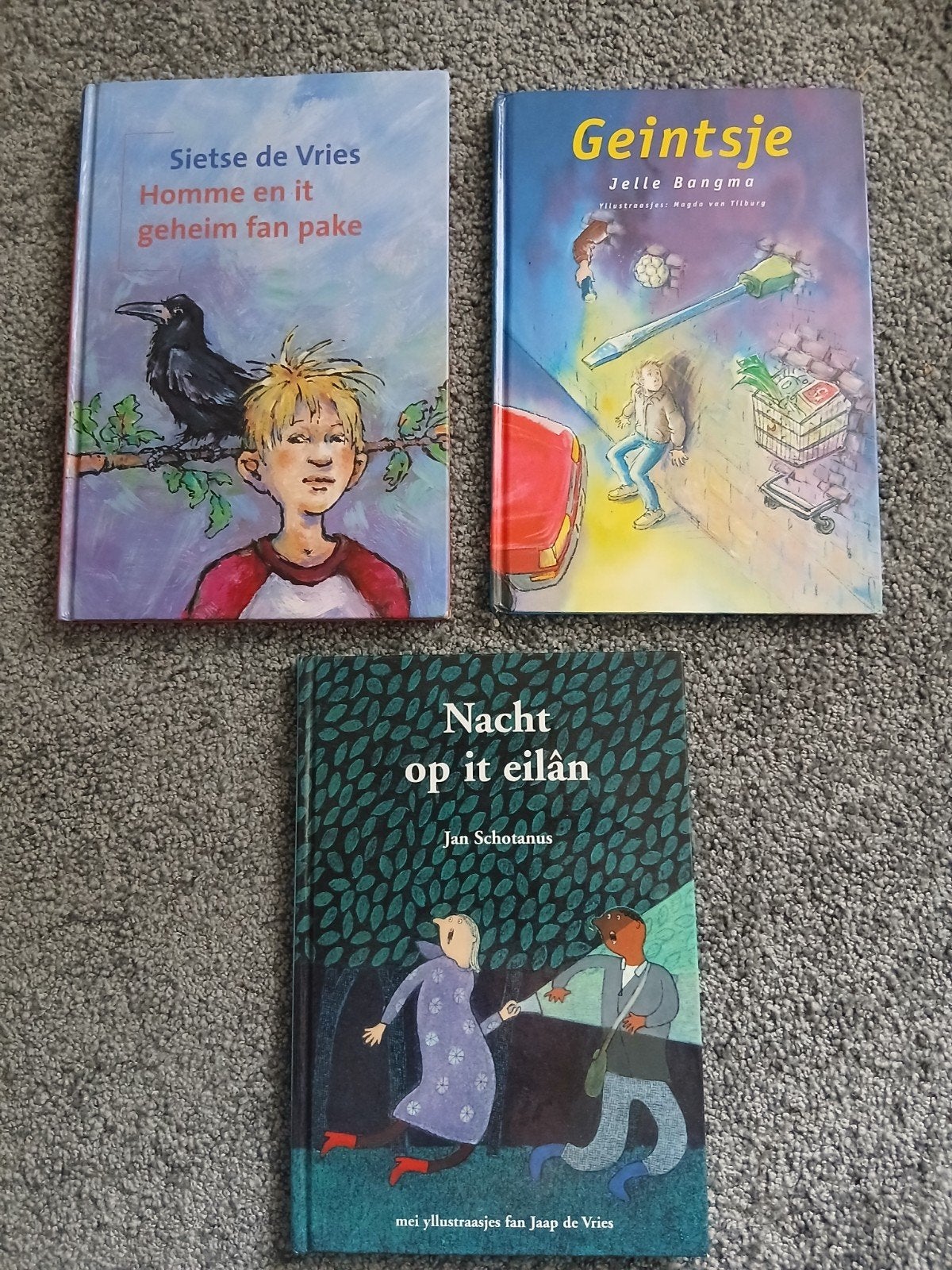 3 Fryske/Friese kinderboeken., Ophalen of Verzenden, Gelezen, Sietse de Vries, Jelle Bangma, Jan Schotanus, Fictie algemeen