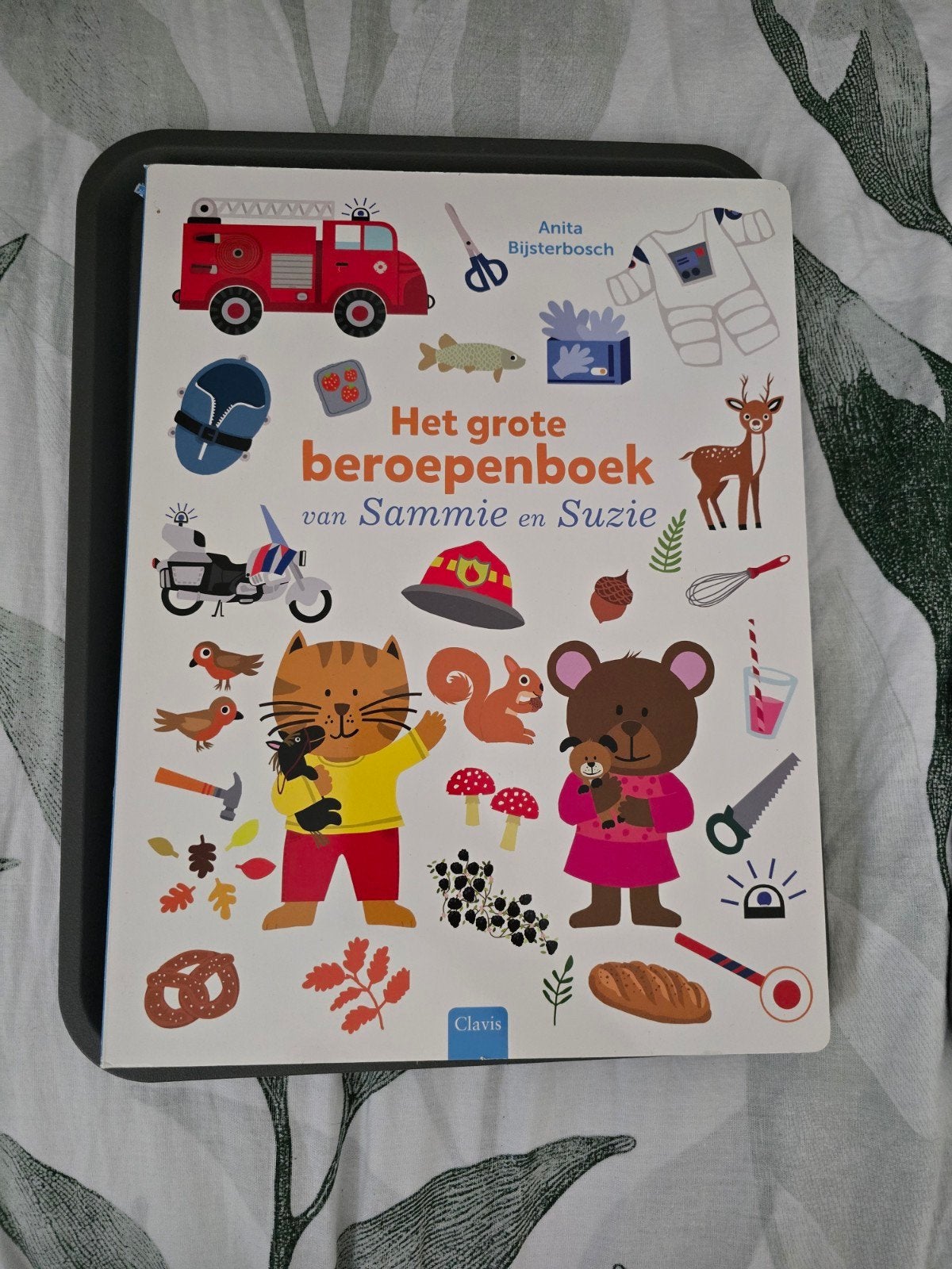 Het grote beroepenboek van Sammie en Suzie, Ophalen of Verzenden, Zo goed als nieuw, Anita Bijsterbosch