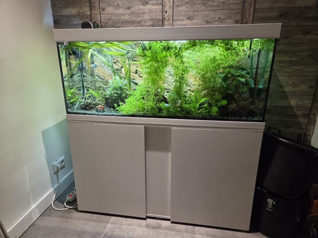 Compleet Aquarium, Ophalen, Inclusief vissen, Eheim, Gevuld zoetwateraquarium