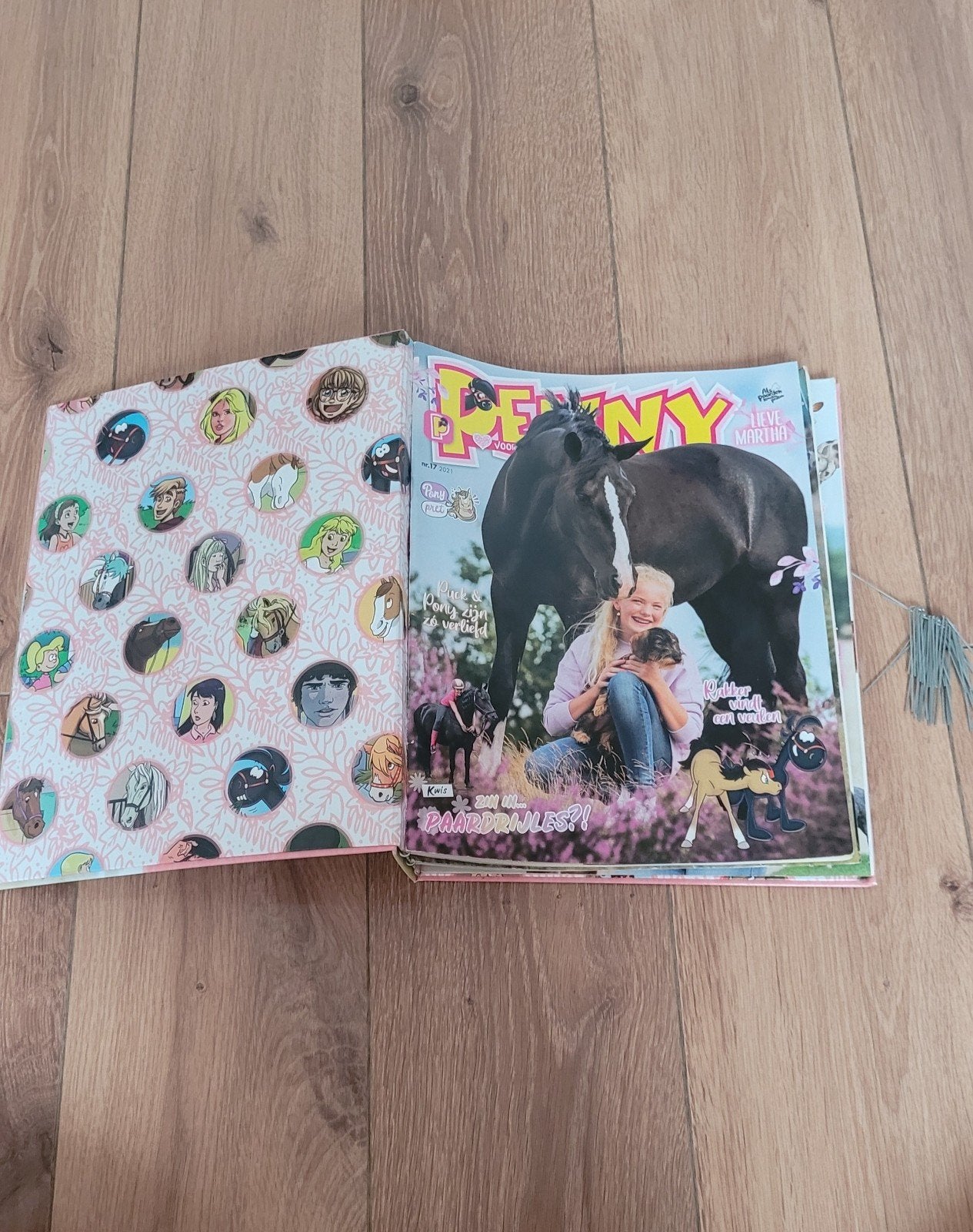 Penny verzamelklappers, Boeken, Meerdere stripboeken, Ophalen, Zo goed als nieuw