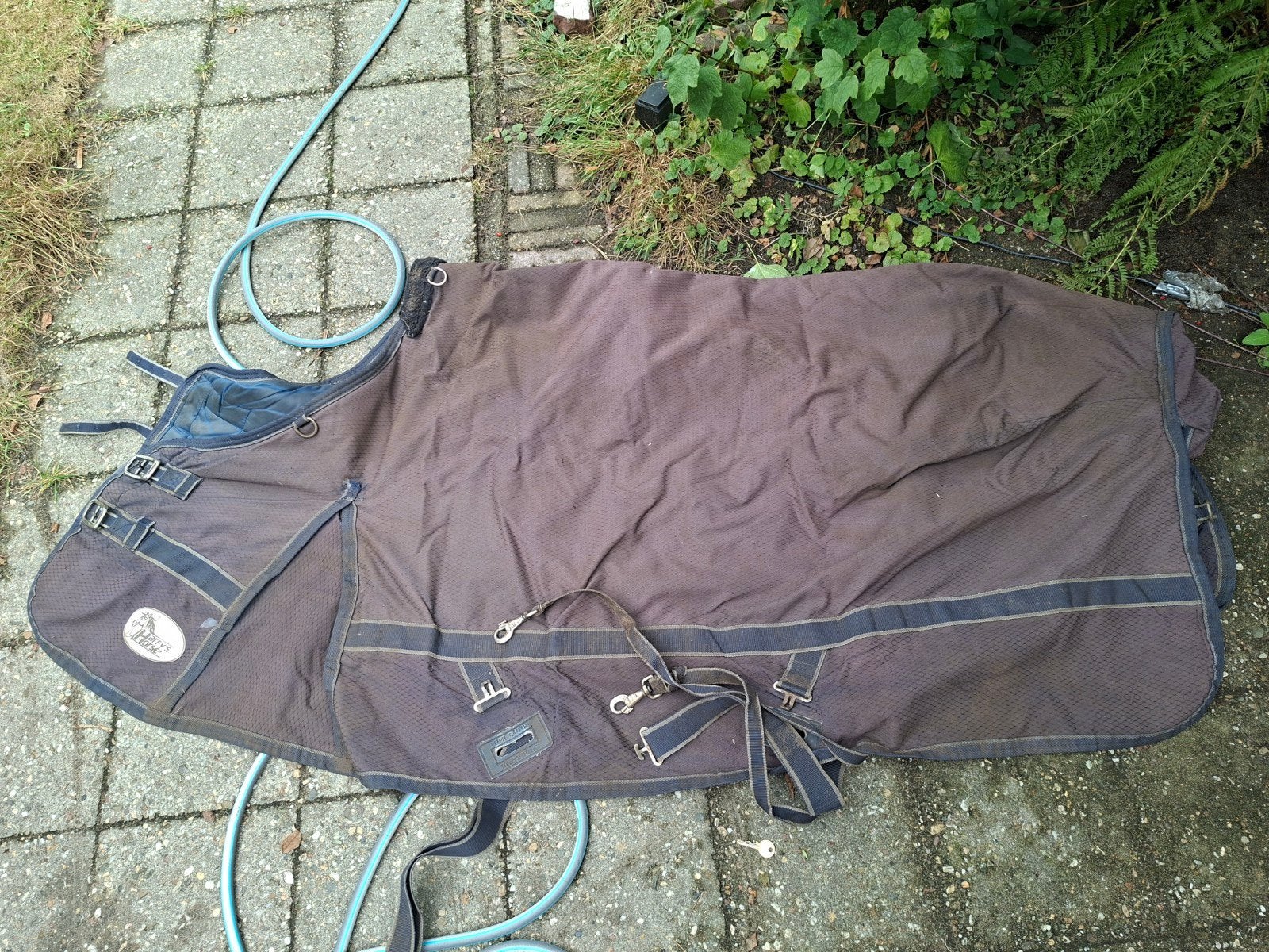 Winterdekens 185, borstbeschermer, westernsingel, zadelsteun, Dieren en Toebehoren, Ophalen of Verzenden, Gebruikt