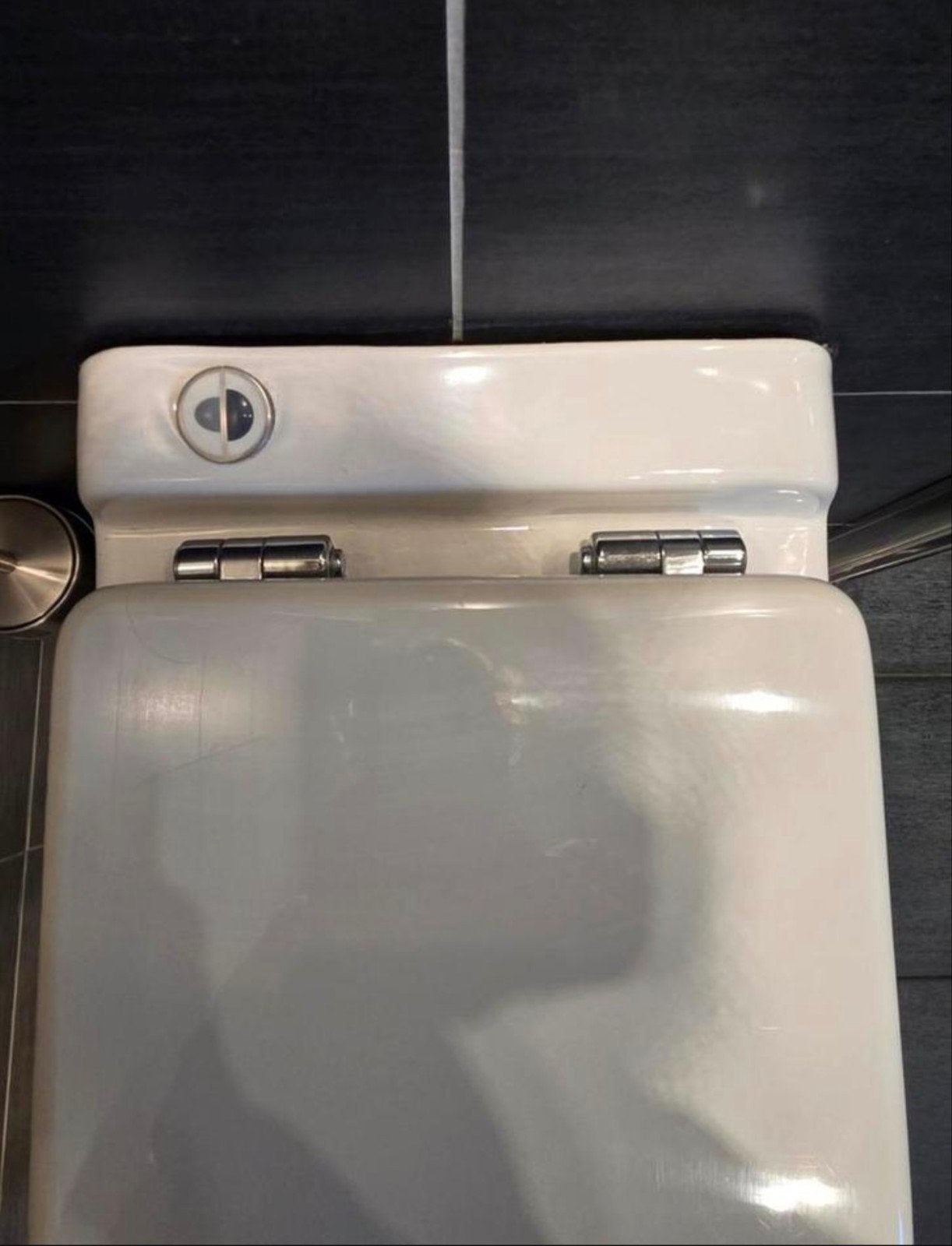 Originele SFA hang Sanibroyeur sanicompact broyeur, Ophalen, Zo goed als nieuw, Rvs, Toilet