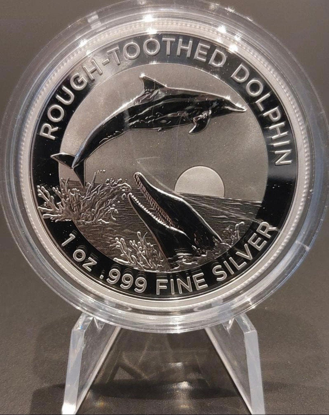 1 oz Zilveren Rough-Toothed Dolphin munt 2023, Verzenden, Overige landen, Losse munt, Zilver
