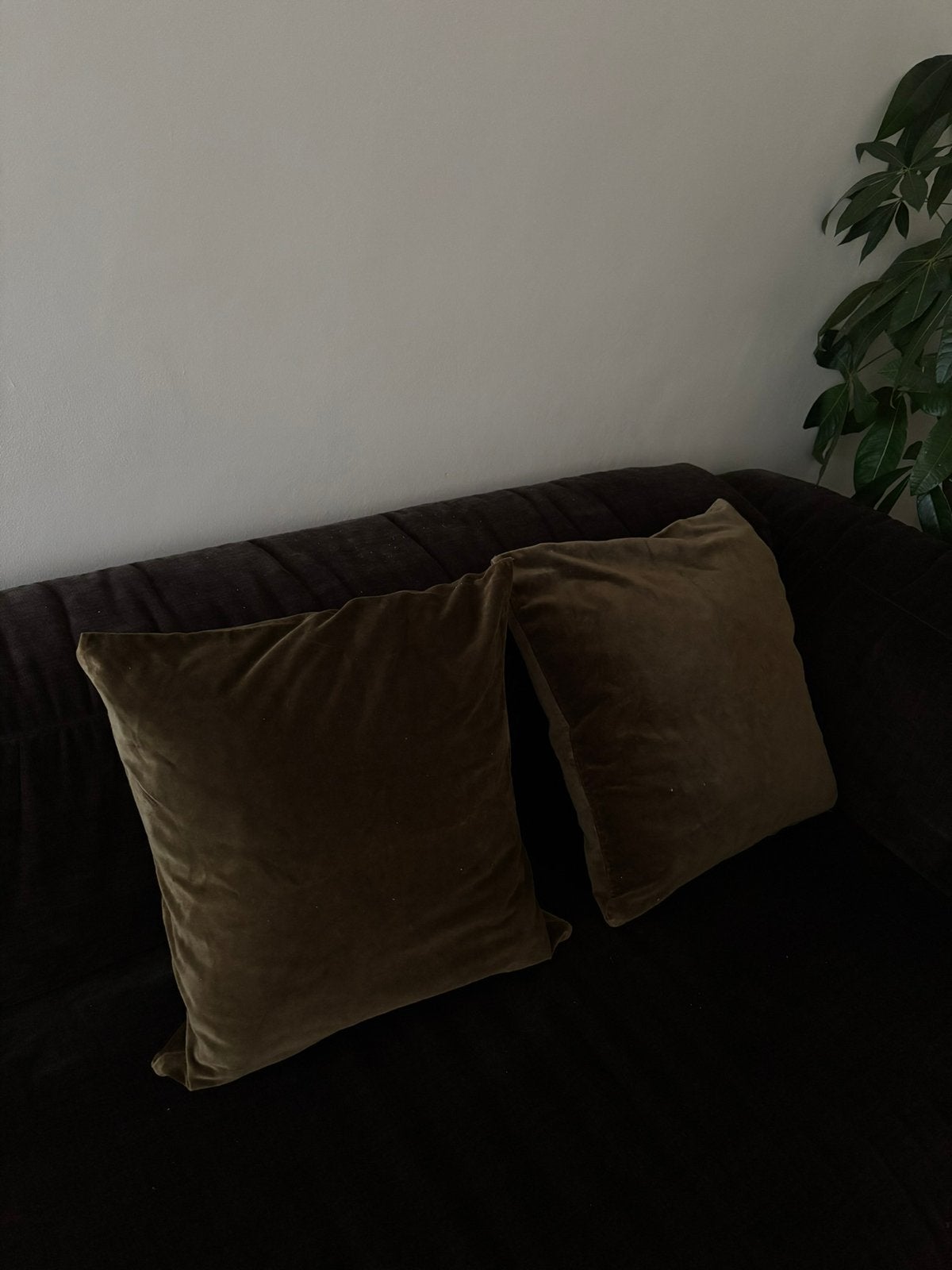Set van 2 groene fluwelen sierkussenslopen – 45  45 cm, Ophalen of Verzenden, Gebruikt, Groen, Vierkant