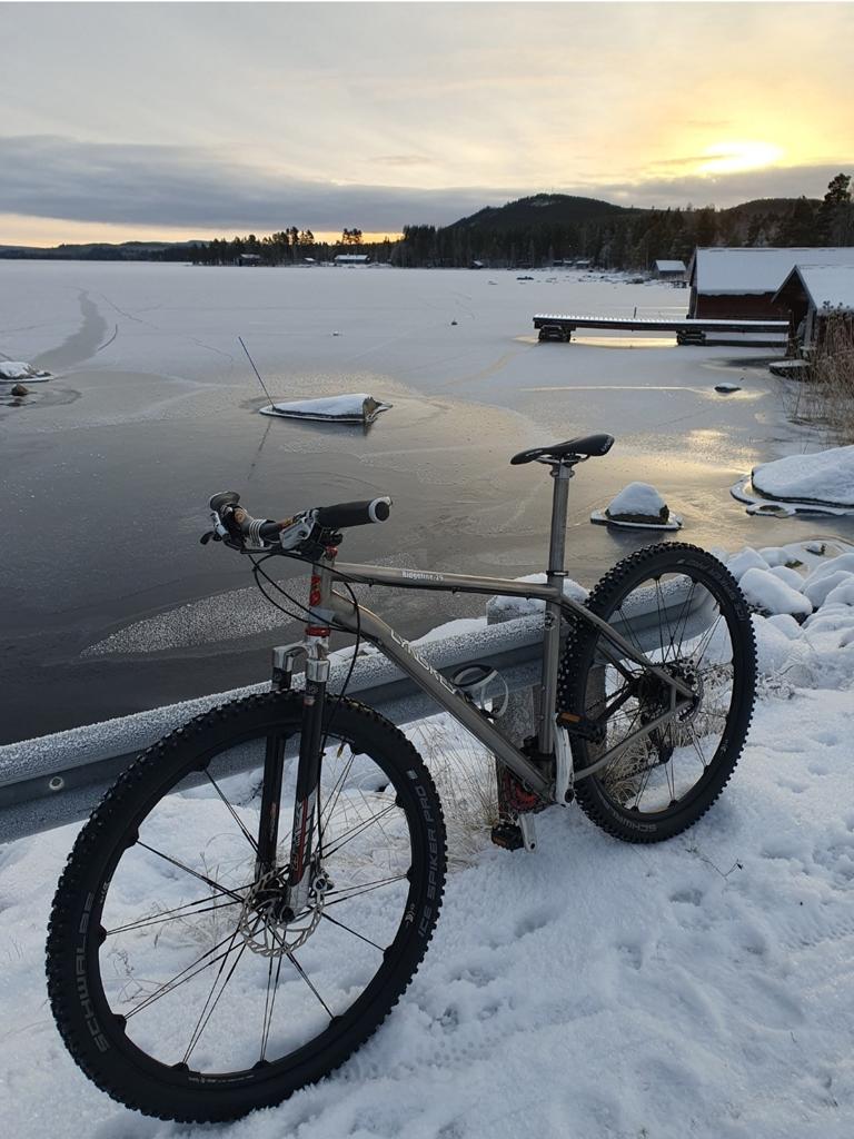 Lynskey ridgeline 29er, Fietsen en Brommers, 45 tot 49 cm, Ophalen, Gebruikt, Overige merken
