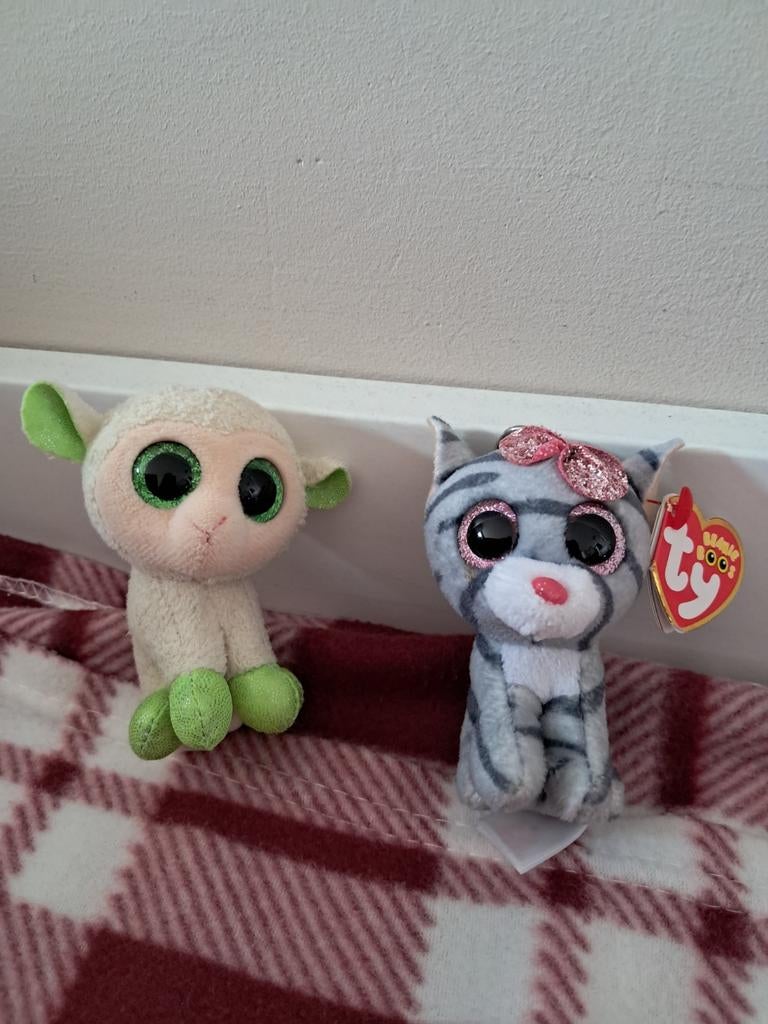 Beanie Boos TY knuffels - schaap en kat, Ophalen of Verzenden