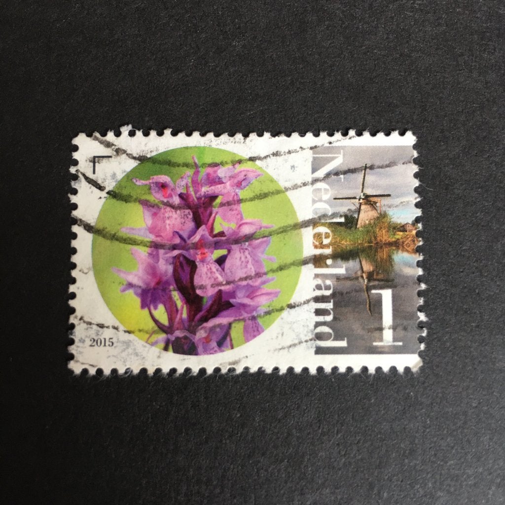 3247 Nederland 2015 NVPH 3293 Rietorchis - gestempeld, Ophalen of Verzenden, Na 1940, Gestempeld