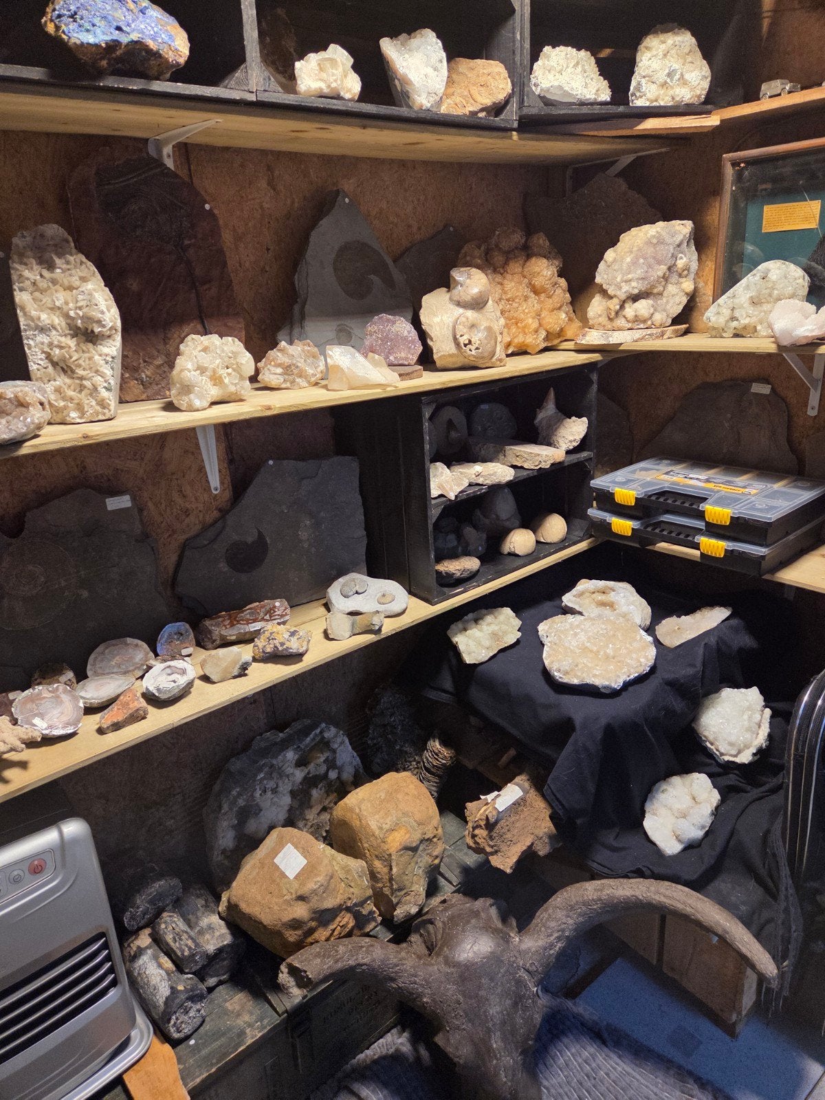 Mineralen en fossielen collectie, Verzamelen, Mineralen en Fossielen, Ophalen of Verzenden