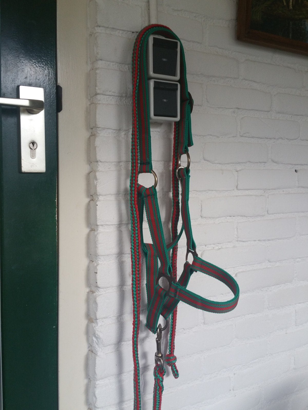 Halster plus halstertouw maat 2 en maat 3, Dieren en Toebehoren, Ophalen, Gebruikt, Overige merken, Halster