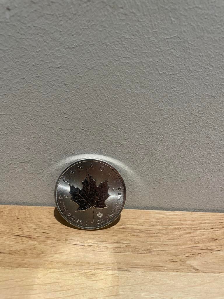 Zilveren Canadese Maple Leaf Munt 1 oz - 2020, Ophalen of Verzenden, Zilver