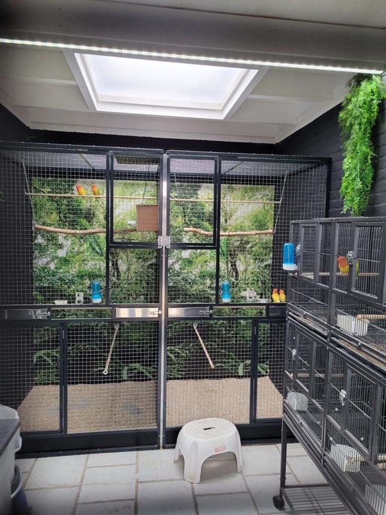 Div. Kweekkooien en panelen, Dieren en Toebehoren, Vogels | Hokken en Kooien, Ophalen