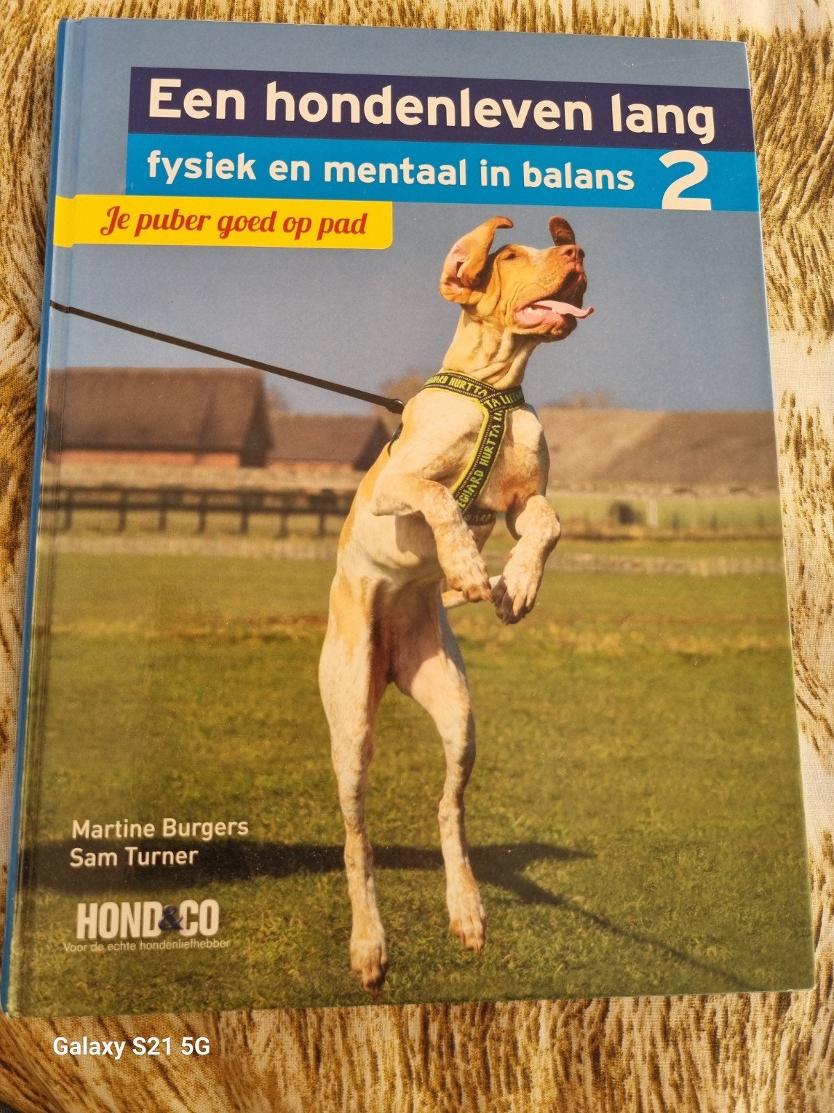 Hondenleven Lang: Je Puber Goed Op Pad - Hondentraining, Ophalen of Verzenden, Zo goed als nieuw, Honden, Martine Burgers, Sam Turner