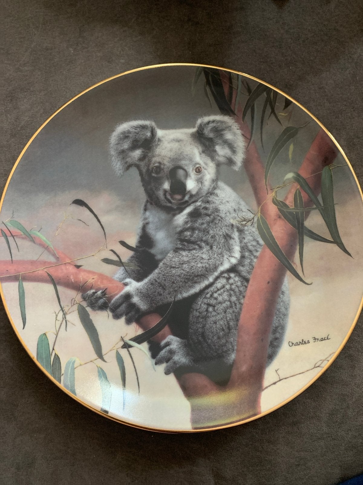Bradex No. 84-G20-46.1 'The Koala' door Charles Fracé, Ophalen of Verzenden