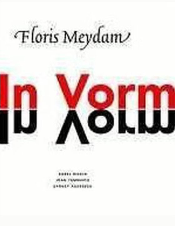 In Vorm - Floris Meydam *, Ophalen of Verzenden, Zo goed als nieuw, K. Wasch