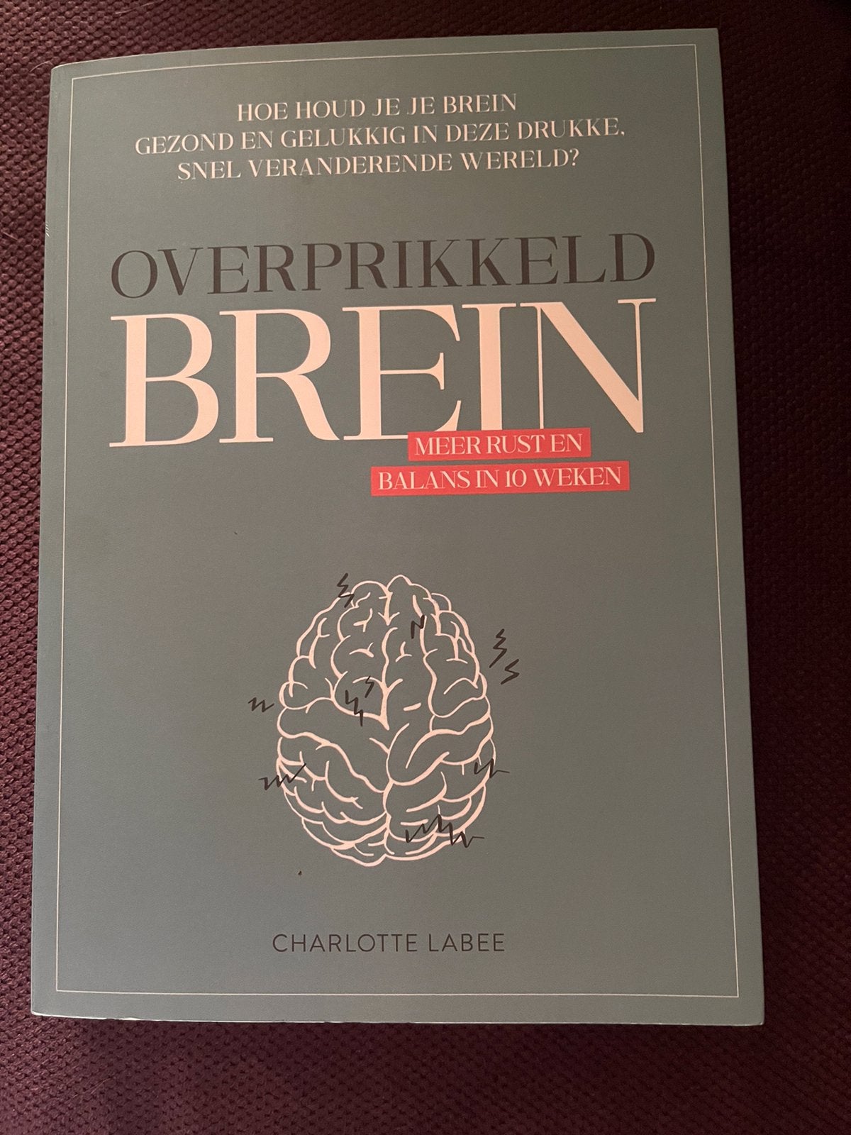 Charlotte Labee - Overprikkeld brein, Boeken, Ophalen of Verzenden, Zo goed als nieuw, Charlotte Labee