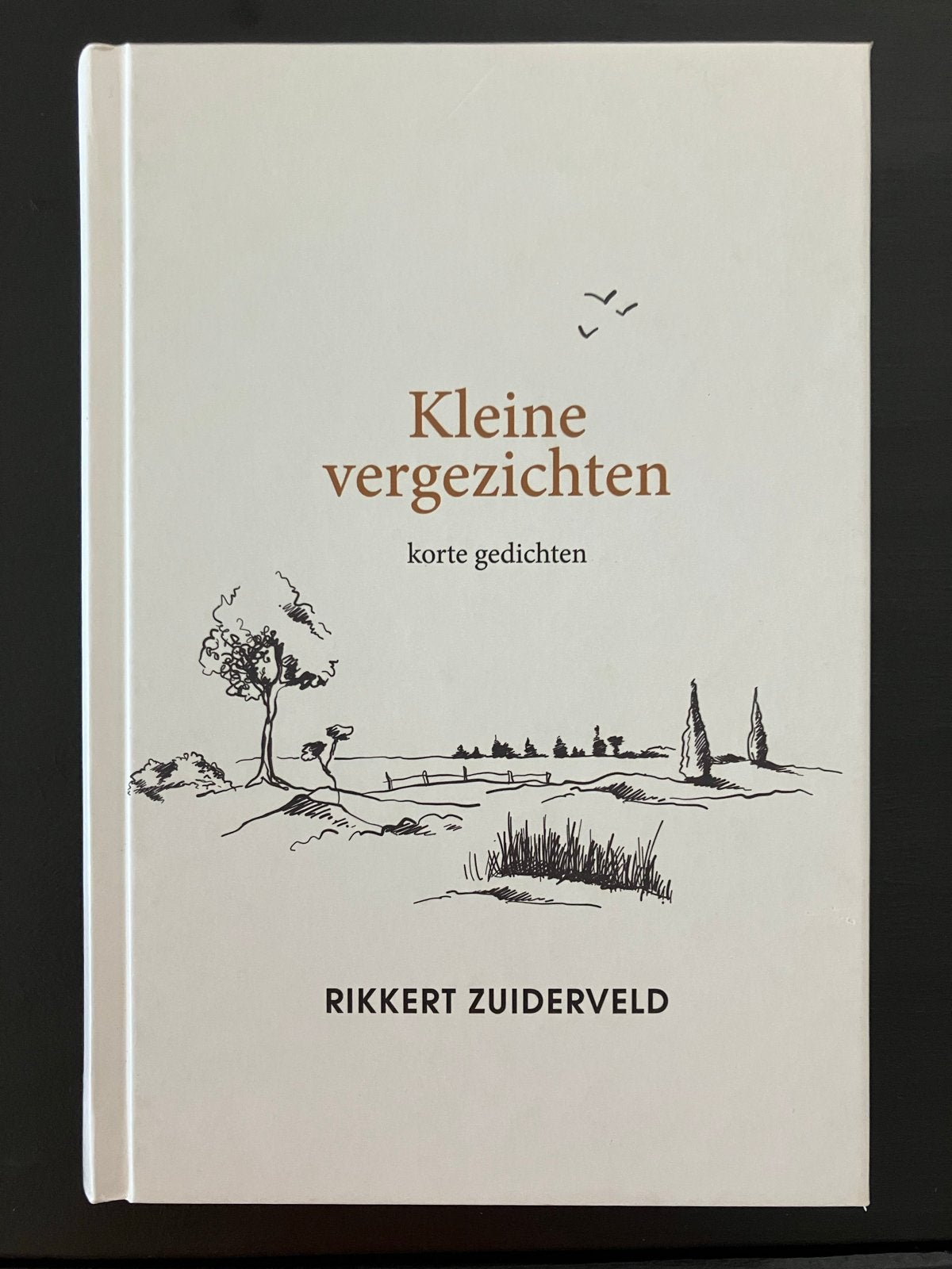 Kleine vergezichten - Rikkert Zuiderveld (Korte gedichten), Ophalen of Verzenden, Zo goed als nieuw, Eén auteur