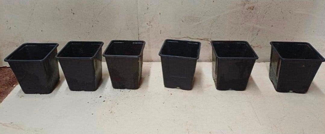 Diverse kweekpotten plantenpotten bloempotten p9 9x9x10 cm, Kunststof, Gebruikt, Minder dan 30 cm, Rond